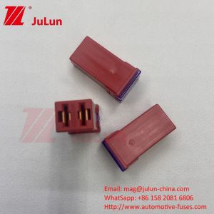 Littelfuse Truck Assorted Maxi Fuse Automotive Blade Fuse 20A30A40A50A60A 58V