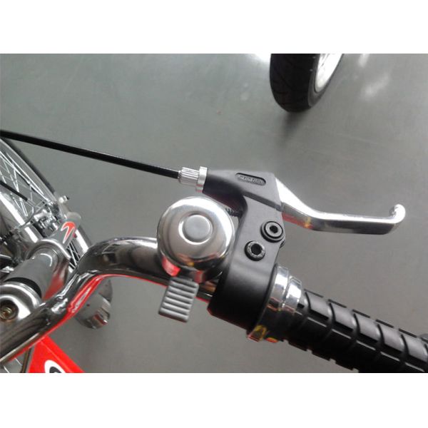 Adult Chopper Bicycles Chopper Pedal Bike with 24-20 Wheel Size and Gross Weight 23KG