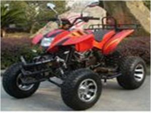 China 200cc,250cc ATV with EEC certification,4-Stroke,automatic with reverse.Good quality on sale