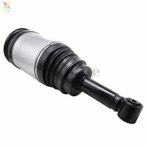 China Air Suspension For Land Rover Range Rover Discovery 3 Rear Left & Right Shock Strut RPD501090,RPD500880,RPD00030 on sale