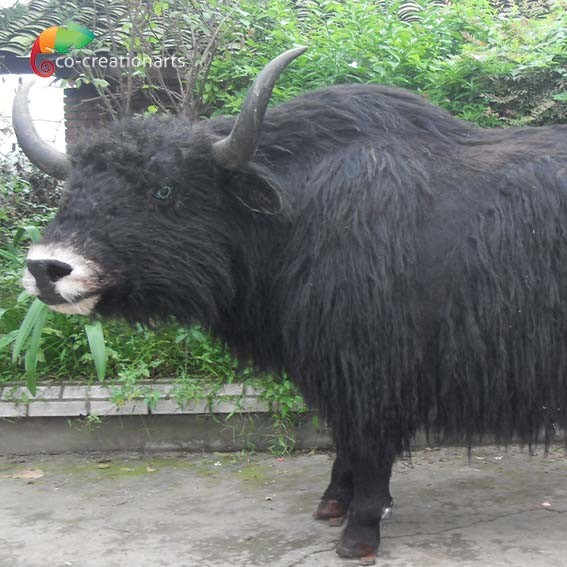 Quality Customized Lifelike Animatronics Robotic Animal Wild Yak Replications For Exhibition wholesale