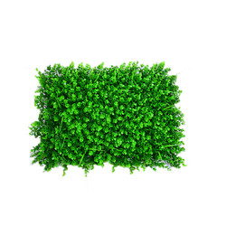 Low Price 40*60cm Artificial Lawn Leaf Grasses Plants Wall