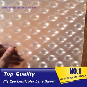 PLASTIC LENTICULAR 3d 360 degrees fly eye film plastic lenticular fly eye lens