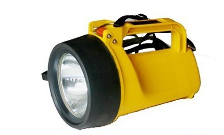 Quality Portable Explosion-proof Hand Lamps wholesale