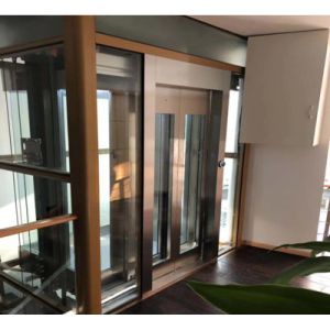 ORIA mordenized home resident home Villa elevator