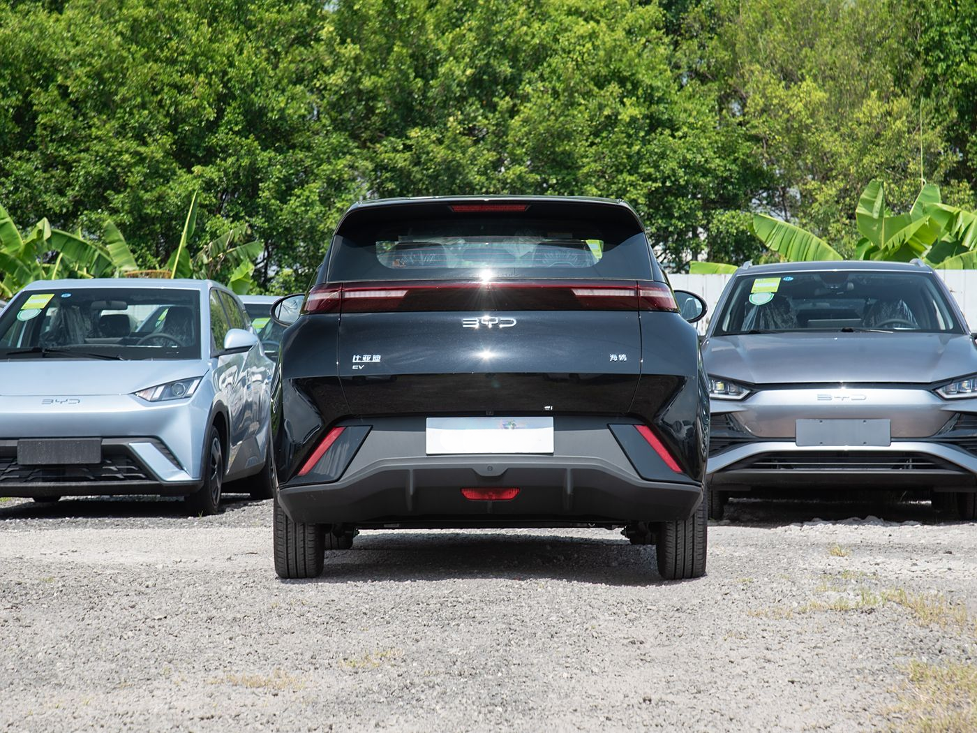 BYD Dolphin Surf 2025 ADAS Version 405km Zizai | High-Speed NOA + APA, Your