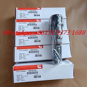 Genuine Cummins Nta855 Engine Fuel Injector 3054228 3018352 3009467 3047963