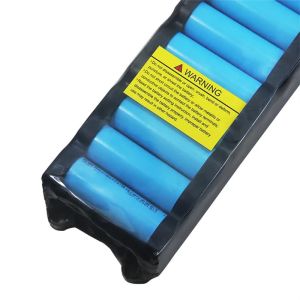 LiFePO4 Lithium Battery Rechargeable OEM ODM 24V 36V 60V 12AH 24AH Lithium-ion