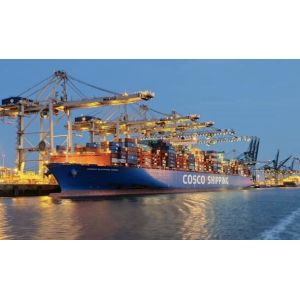 China Amazon FBA Walmart Sea Freight Agent on sale