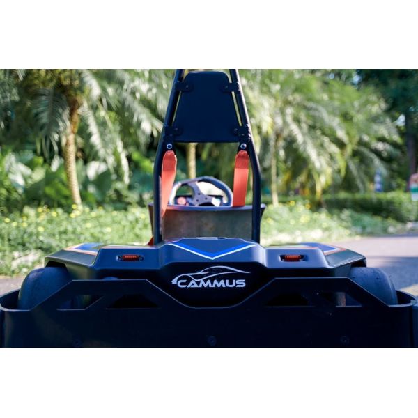 Funfair Playground 2850RPM Sport Go Kart 1860*1400*610mm