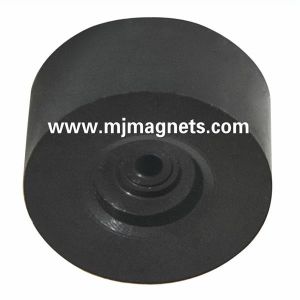 plastic Injection bonded magnet with tiny inner hole