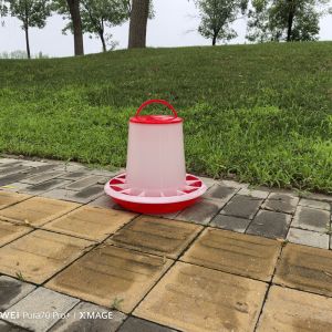 Freestanding Plastic Poultry Feeder 1L-12L Clean Dry