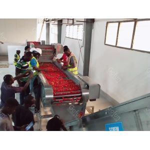 Food Grade SUS304 Tomato Production Line Customized 100T/D