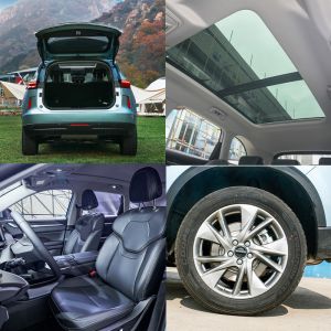 2023 Plug-in Hybrid Electric Car Great Wall Haval H6 High Speed New Energy Car