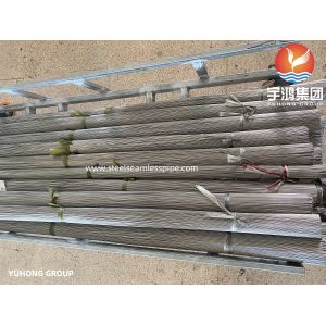 Precision Capillary Tube, Bright Annealed, Stainless Steel Seamless Tube,TP304