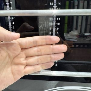 ODM Matte Clear PPF 1.52x15m Self Healing Paint Protection Film