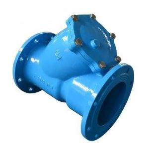 Port Size with Customer's Requirements Ductile Iron Y Strainer Double Flange