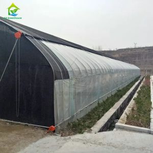Sawtooth single-span film shade net blackout greenhouse for growing mushrooms