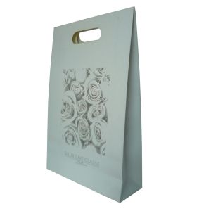 Custom Printed Paper Gift Reusable Carrier Bags With Ribbon Closure 42cm * 28cm
