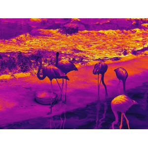 New Arrival Guide TN450 Uncooled Infrared Thermal Night Vision Imaging