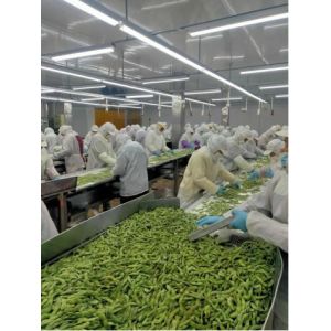 Nutritious Frozen Edamame Beans With No Rusty Spot