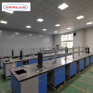 China Integrated Structure Chemistry Lab Furniture Customizable and Export Plywood Packaged on sale