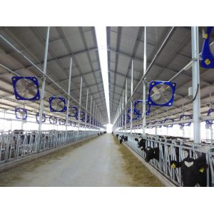 Livestock Ventilation Fans The Perfect Solution for Livestock Ventilation