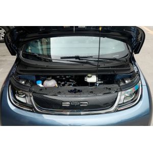 Hot Selling New Version Automatic High Speed BYD Whale Pure New Energy Electric