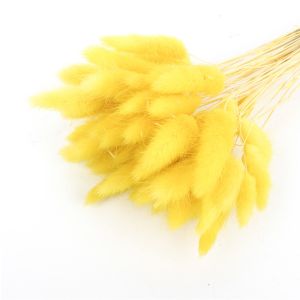 Home Decoration Beautiful Dried Flowers Rabbit Tail Grass Custom Color