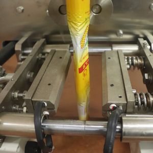 Chilli Milk Powder Packing Machine