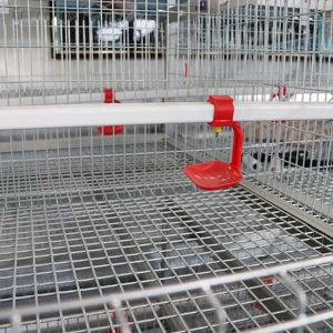 Durable A Type Baby Chick Cage Low Death Rate With Manual Feeding System