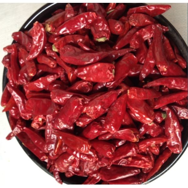Grade A Dried Red Chili Pods Pungent Xinglong Dried Cayenne Pepper