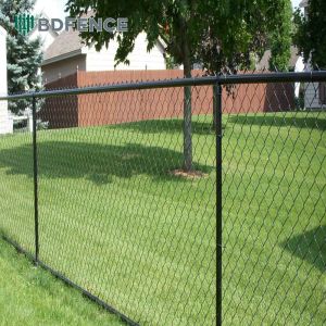 Food Factory Chain Link Fence Sanitation Zone