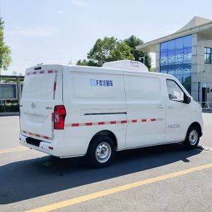 Transport Vegetables and Meat with Our 4L Engine Capacity Customized Refrigerate