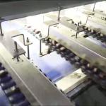 High Accuracy, Intelligent Chestnut Sorting Machine, with 6-12 lanes + 8 outlets