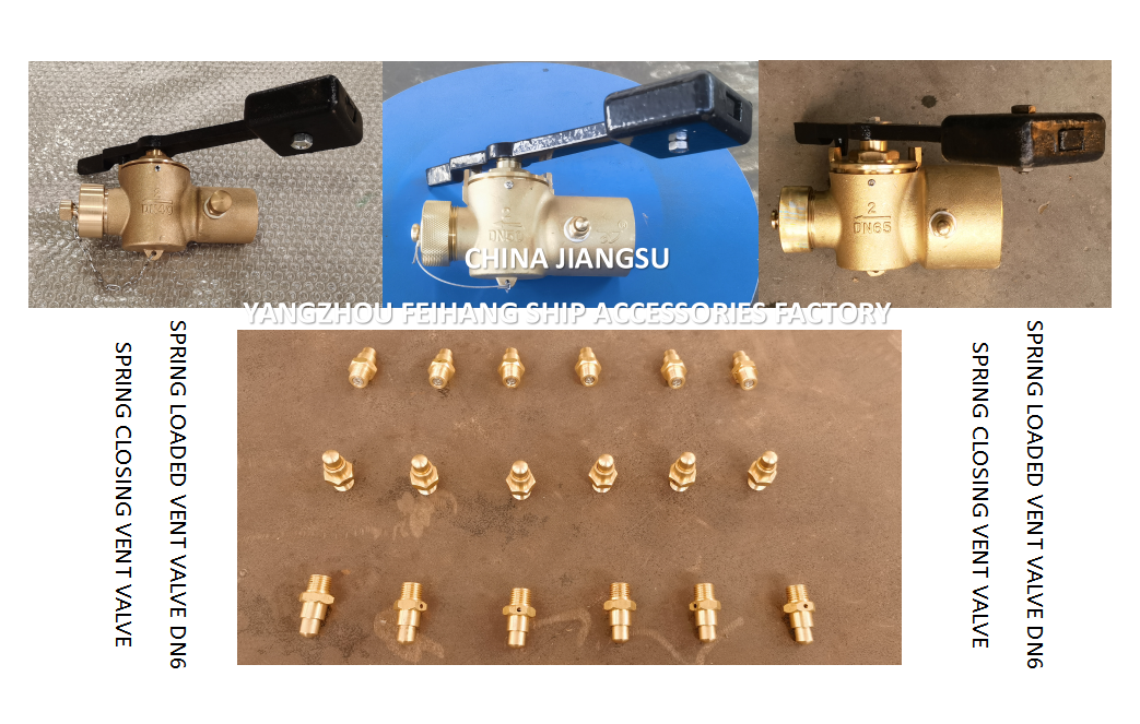 DN6 Size Spring Loaded Vent Valve with Threaded Connection Compliant to CB/T3778