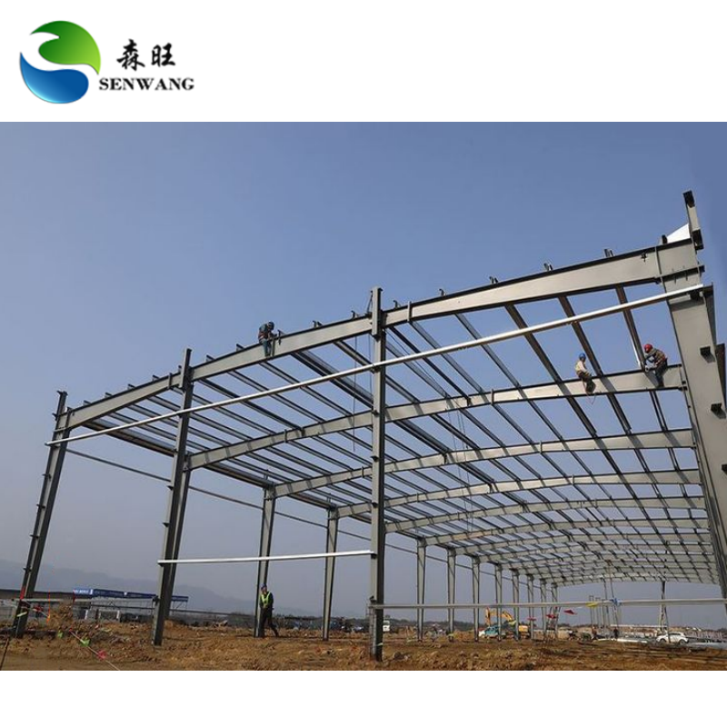 ISO 9001 Certified Steel Structure Warehouse with Custom Wall Cladding