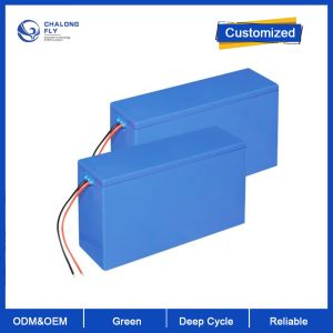 Lifepo4 Lithium Ion Battery Pack OEM 18650 overcharge protection