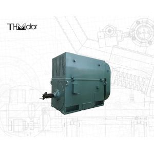 Y630-12 3 Phase Asynchronous Squirrel Cage Induction Motor 710kw 496rpm