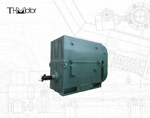 Quality Y630-12 3 Phase Asynchronous Squirrel Cage Induction Motor 710kw 496rpm wholesale