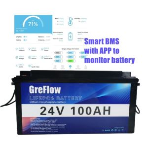 Deep Cycle Rechargeable 24V 100AH 24V Lithium Battery For RV Yacht UPS