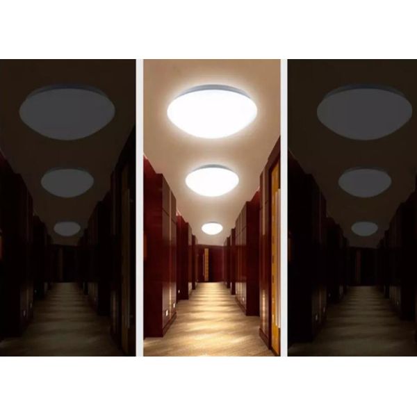 24w Emergency Led Surface Mount Ceiling Lights For Hotel / Office Building