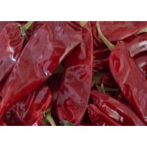 8000SHU Cherry Red Guajillo Chilis AD Drying Chile Guajillo Pods Stick Shape