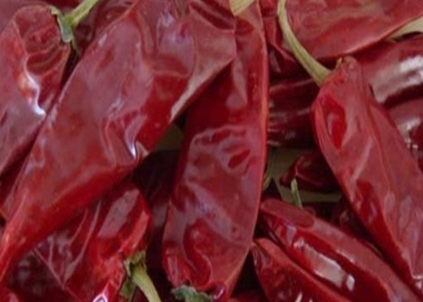 Quality 8000SHU Cherry Red Guajillo Chilis AD Drying Chile Guajillo Pods Stick Shape wholesale