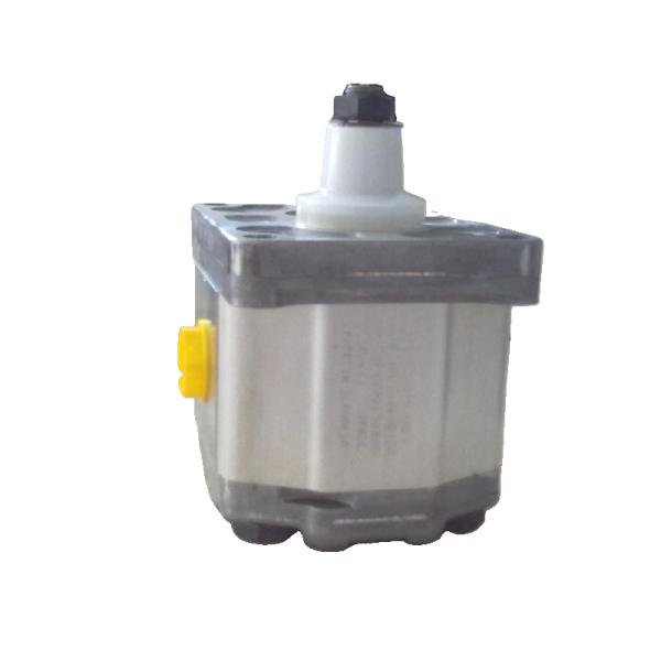 Danfoss Gear Pump 111.20.276.00 SNP2NN6.0RN01BAP1F4F4NNNNNNNNN Cast Iron Low