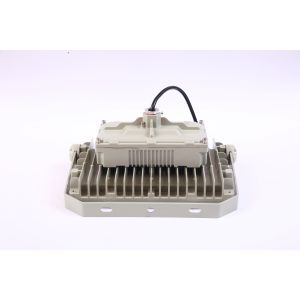 IP66 Rated Explosion-Proof Light [Pendant/Bracket Mount] GYD720 Series 20-300W