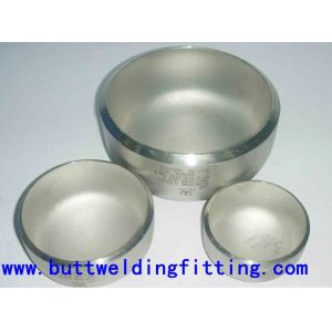 Alloy Steel / Duplex Stainless Tube End Caps ASTM A403 WP304 / 304L WP316 / 316L