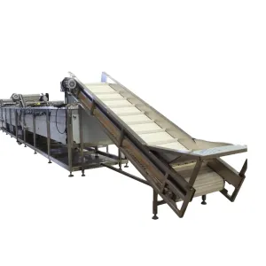 Robust Food Grade Fruit Processing Line Production Capacity Customization