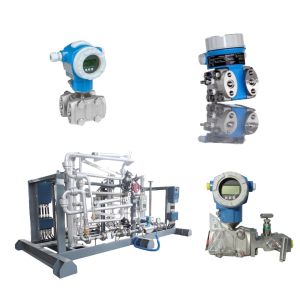 Chinese Skid- Mount Endress+Hauser Differential Pressure Transmitter Deltabar