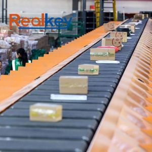 Logistics Sorting System Box Sorting Conveyor Adapt To Various Goods Flexible